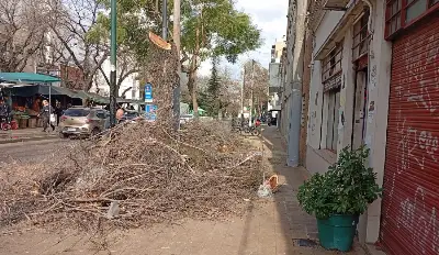 Aceleraron la poda en el Casco, pero dejaron enormes montañas de ramas