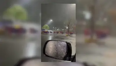 La "carrera de changuitos" que se desató en el Carrefour de La Plata en medio del temporal