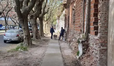 Comenzaron a arreglar "la peor vereda de La Plata" y las redes estallaron: "Ya le había tomado cariño" 