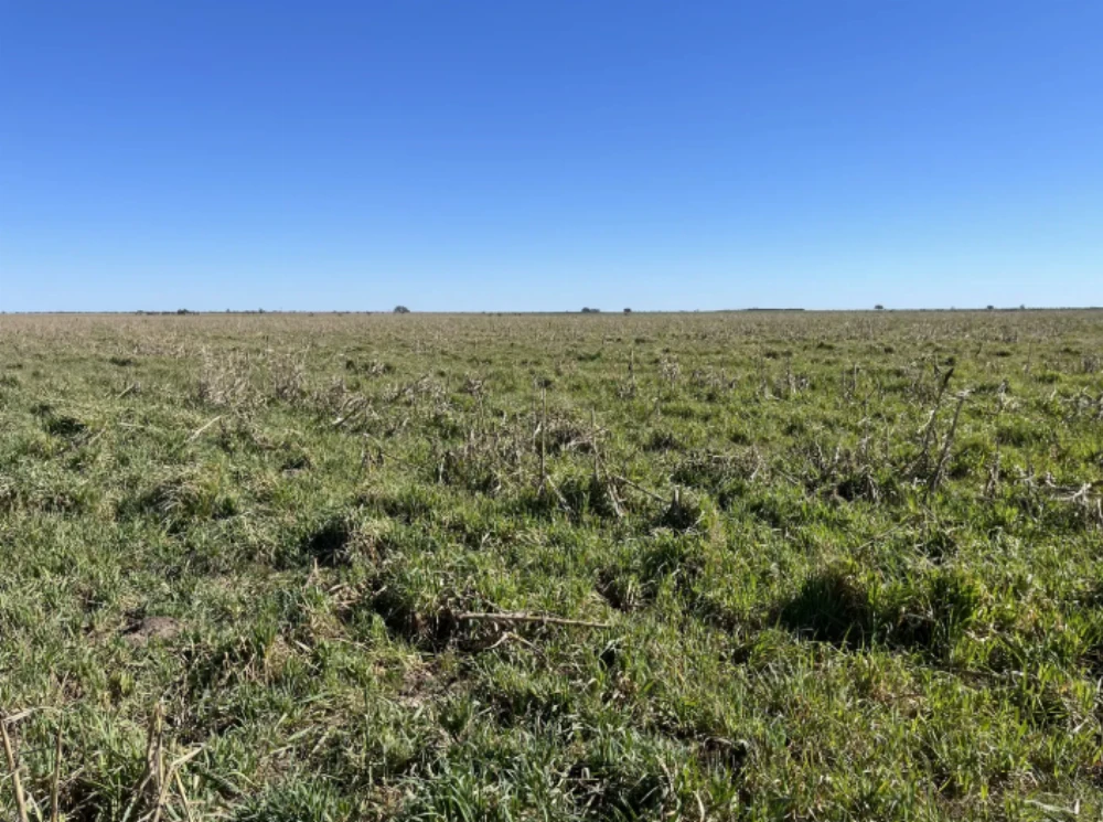 La UNLP recibirá un campo de 134 hectáreas: ¿para qué será utilizado?