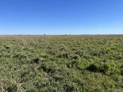 La UNLP recibirá un campo de 134 hectáreas: ¿para qué será utilizado?