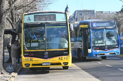 Nuevo sistema de micros en La Plata: líneas, recorridos y trasbordos