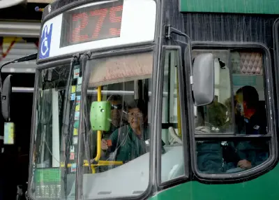 Los cambios a la licitación de los micros en La Plata: plazos, recorridos, cupos y cursos de RCP