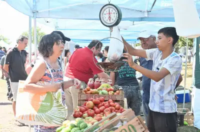 La próxima Fiesta del Tomate Platense ya tiene fecha y crece la expectativa