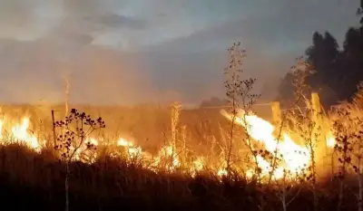 Un incendio a las afueras de La Plata arrasó con más diez hectáreas y puso en riesgo a los vecinos