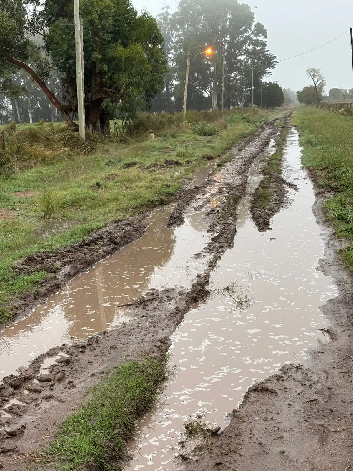 Calles de Tierra: Alak lanzo un licitación para reparar más de 6 mil arterias con una inversión de cerca de 8 mil millones de pesos